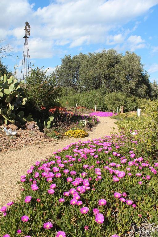 رودالكيلار El Jardin De Los Suenos المظهر الخارجي الصورة
